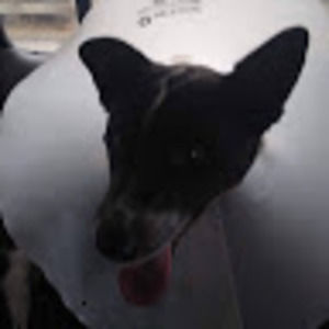 Meet your Posher, Chad